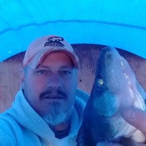 Meet your Posher, Todd